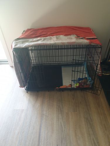 Customer photo review of PaWz Pet Crate