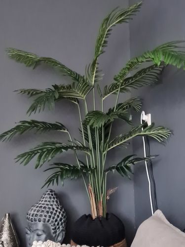 Customer photo review of Kunstpalm Serie A 160cm