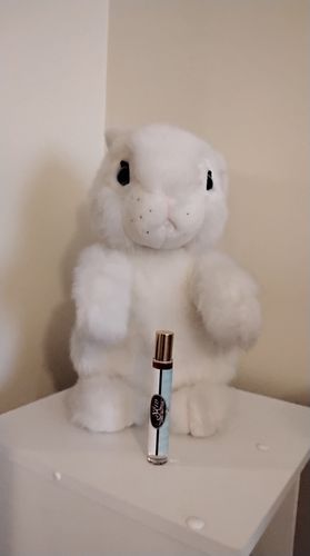 Customer photo review of roll on perfume .9ml