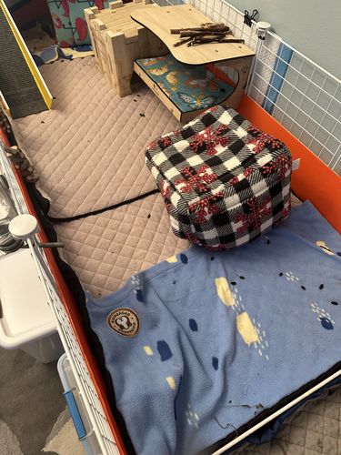 Customer photo review of GuineaDad Premium Liner - Guinea Pig Ultra-Plush Fleece Liner with AirCell™ Technology