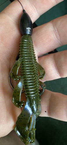 Customer photo review of Nako Tungsten Weight Kit | 170 Piece, 350 Piece, Daiwa Terminal Tackle Box