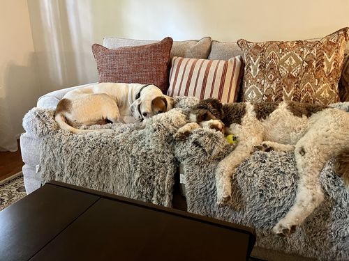 Customer photo review of Calming Couch Cover