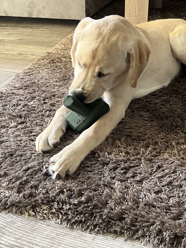 Customer photo review of The Fenrir Hammer