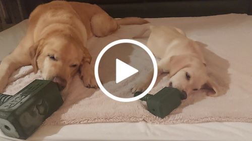 Customer video review of The Fenrir Hammer