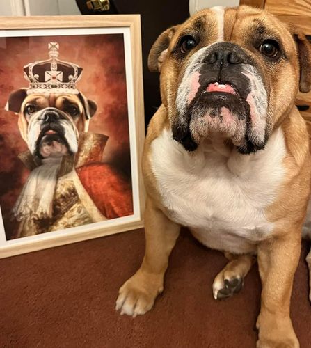 Customer photo review of The King - Custom Vintage Pet Portrait