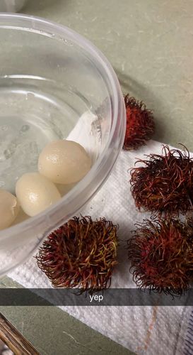 Customer photo review of Rambutan