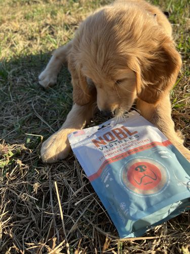 Customer photo review of NOBL VISIBLES Treats for Canines - 4 Bag Sampler Pack