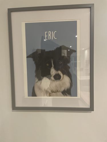 Customer photo review of Classic - Custom Pet Portrait