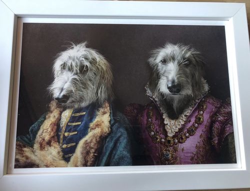 Customer photo review of The Count & The Countess – Custom Vintage Pet Portrait