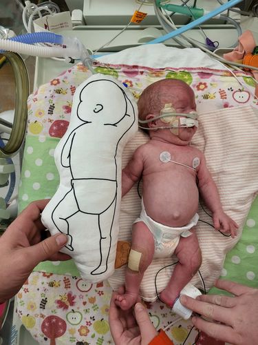 Customer photo review of Birth Pillow Classy Two