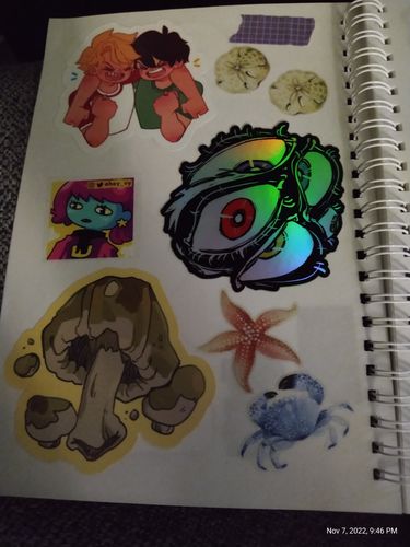 Customer photo review of Holographic Rainbow Eyes Sticker