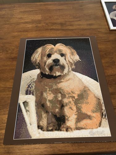 Customer photo review of Custom Diamond Painting Kits for Adults DIY 5D - Photo Diamond Art Shipped from USA