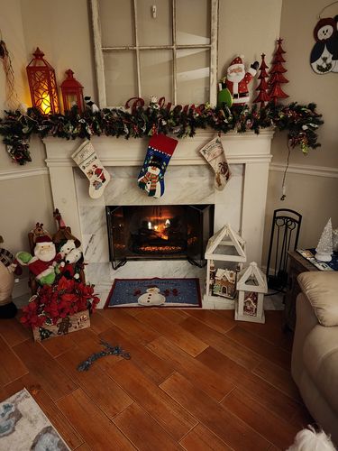 Customer photo review of Dimplex Revillusion 20" Electric Log Insert