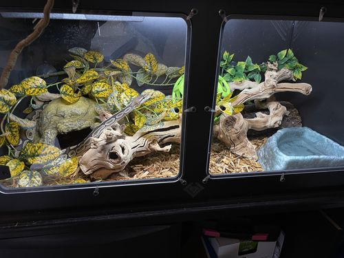Customer photo review of XT3 (36Lx18Dx18H) - STACKABLE