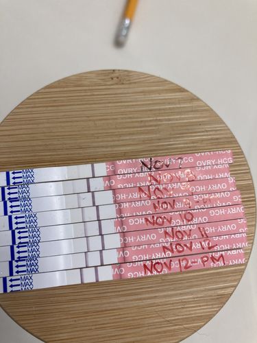 Customer photo review of Pregnancy Test Strips (Ultra-Sensitive)