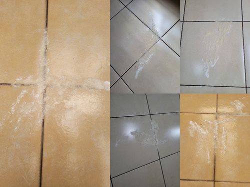 Customer photo review of Paquete Peludos - Membresía - 2 Piezas de 850 grs + Envío GRATIS