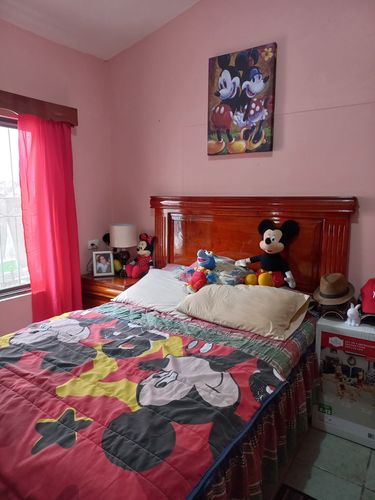 Customer photo review of Mickey & Minie