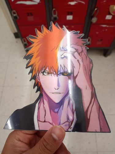 Customer photo review of Ichigo Motion Sticker