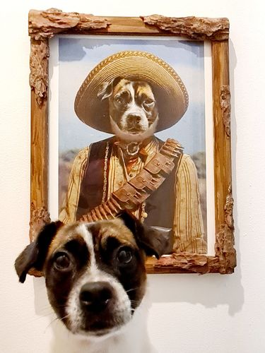 Customer photo review of The Outlaw - Custom Vintage Pet Portrait