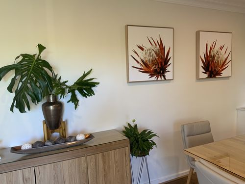 Customer photo review of Protea Growing Toward the Sun, Art Duo