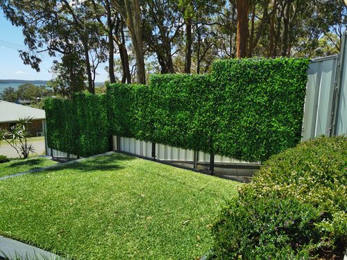 Customer photo review of Dense Buxus Artificial Hedge Tile / Fake Vertical Garden 1m x 1m UV Resistant