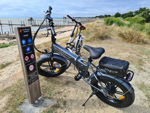 Customer photo review of Engwe EP-2 Pro 2022 Version 750W Folding Fat Tire Electric Bike 13Ah 35km/h 100km