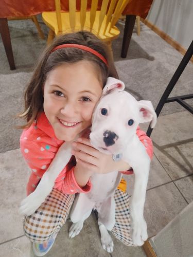 Customer photo review of Just Paws