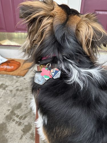 Customer photo review of Explorer Silicone