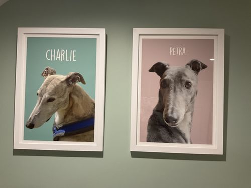 Customer photo review of Classic - Custom Pet Portrait
