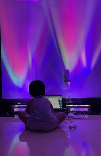 Customer photo review of Immersive Gamer RGB Painter Light - Kit