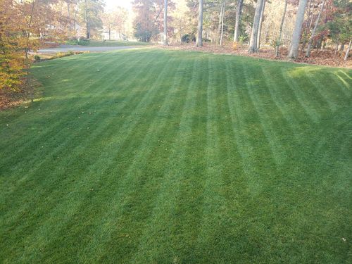 Customer photo review of GCI Turf Spreader Elite Grass Seed