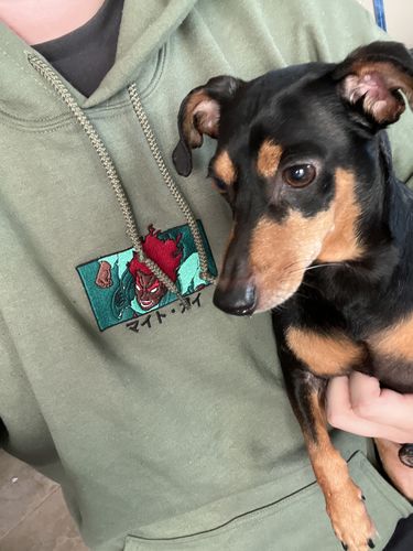 Customer photo review of Might Guy Embroidered Hoodie