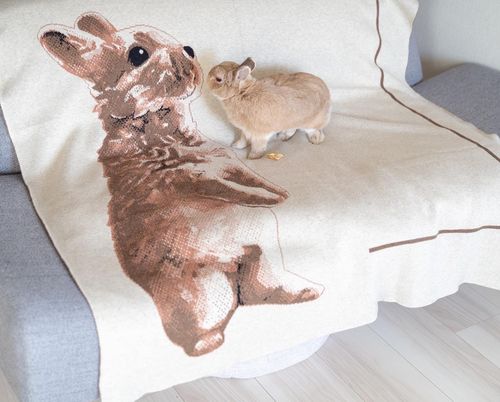 Customer photo review of Full-Body Pet Custom Sweater