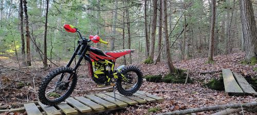 Customer photo review of Talaria Sting