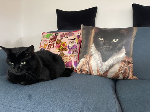 Customer photo review of The Princess - Custom Pet Cushion