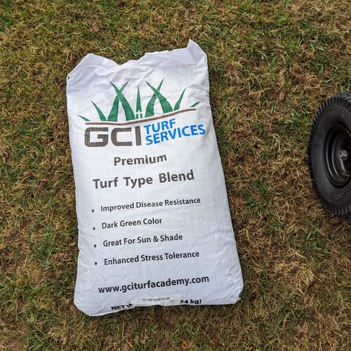 Customer photo review of GCI Turf Type Tall fescue Grass Seed