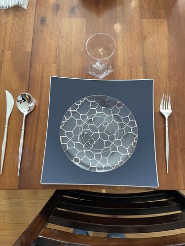 Customer photo review of Square Coupe Navy • Silver Plastic Plates | 10 Pack