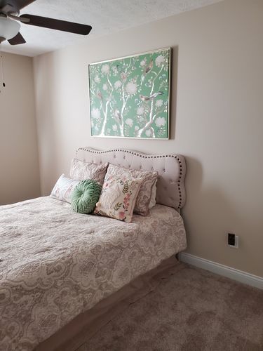 Customer photo review of Braelynn Sand 4-Piece Comforter Set By J Queen