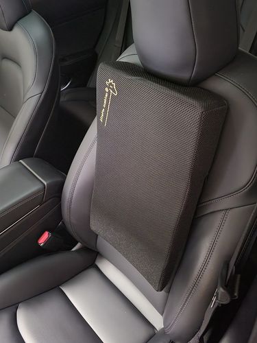 Customer photo review of Giraffe Cushion