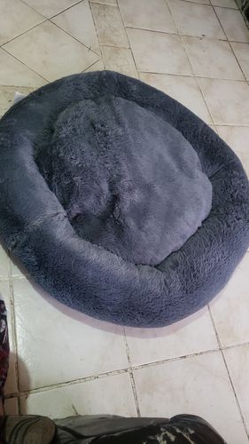 Customer photo review of Cama Antiestrés Para Perros