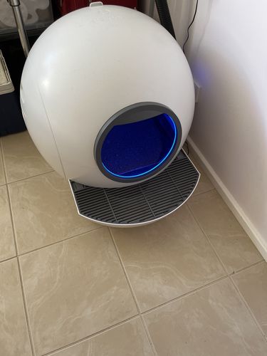 Customer photo review of PaWz Automatic Smart Cat Litter Box
