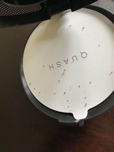Customer photo review of Quash UV Indoor Bug Trap - Black