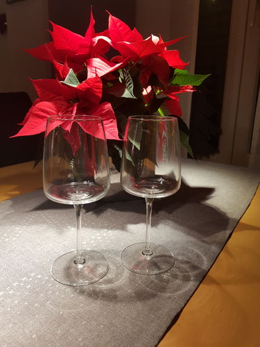 Customer photo review of Nexo Weißweinglas 38cl - Ø 8,2 x 20 cm (6 Stück)