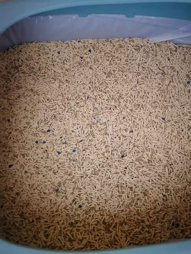 Customer photo review of Michu Mixed Tofu Cat Litter, Heavy Duty Flushable Kitty Litter
