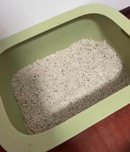 Customer photo review of Michu Mixed Tofu Cat Litter, Heavy Duty Flushable Kitty Litter