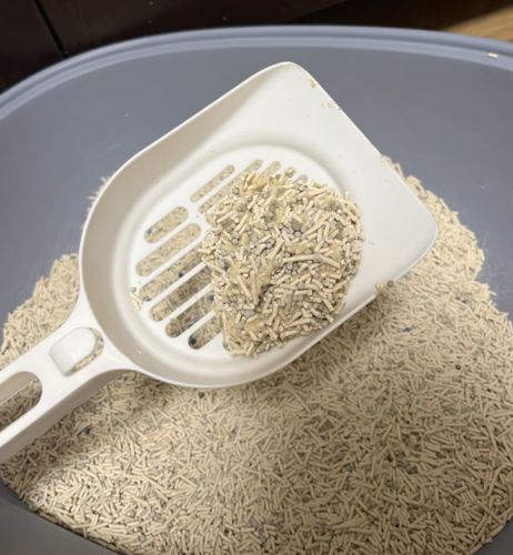 Customer photo review of Michu Mixed Tofu Cat Litter, Heavy Duty Flushable Kitty Litter