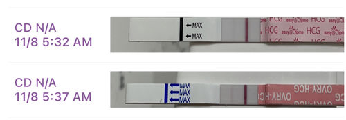 Customer photo review of Pregnancy Test Strips (Ultra-Sensitive)