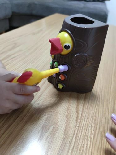 Customer photo review of Pássaro Montessori - Brinquedo Educativo