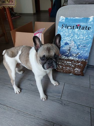 Customer photo review of Crocchette cane formula Pesce Azzurro dell'Oceano Pacifico