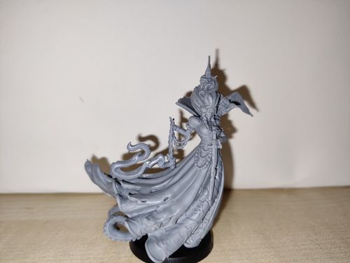 Customer photo review of Lady Typhoidia, Corrupted Countess (Dominion of Decay - F)